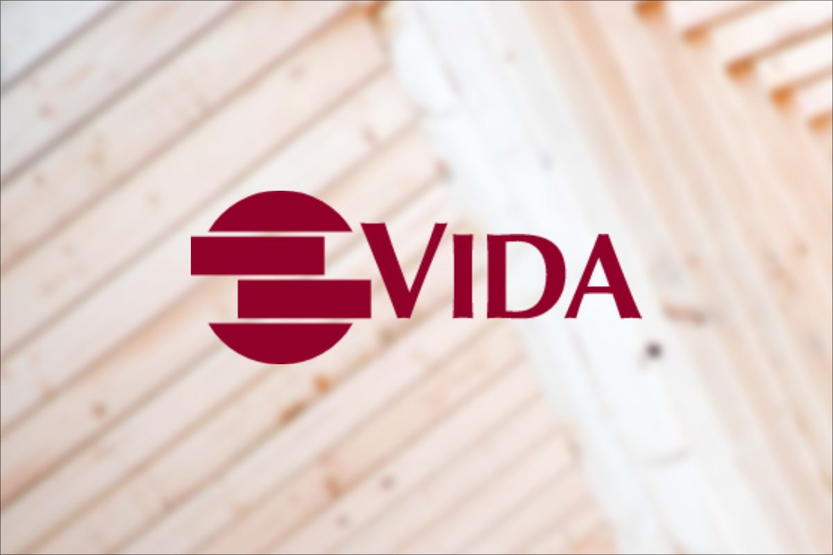 vida vida